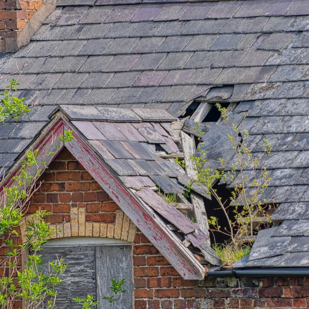 Emergency roof repair Orlando — blue tarp on storm-damaged roof