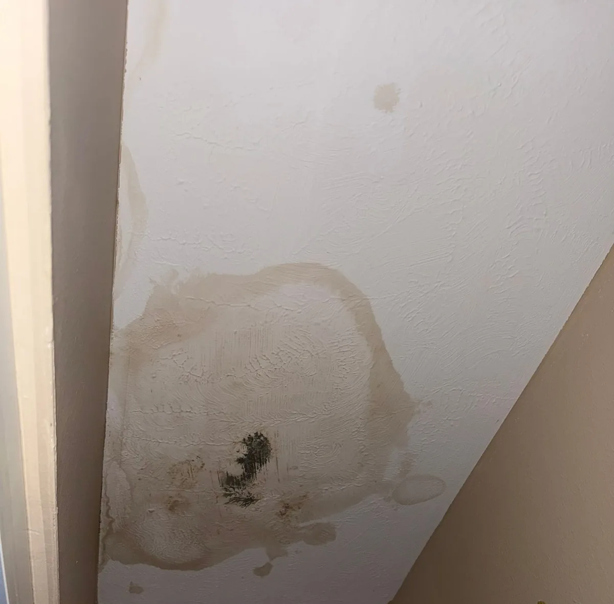 Roof emergency interior water damage stain on ceiling